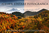 Atelier editare foto cu Eduard Gutescu