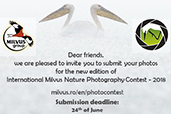 Concursul International de Fotografie de Natura Milvus 2018