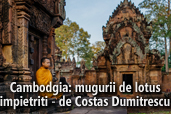 Cambodgia: mugurii de lotus impietriti - de Costas Dumitrescu