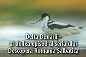 Delta Dunarii - al doilea episod al serialului Descopera Romania Salbatica