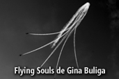 Flying Souls de Gina Buliga