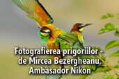 Fotografierea prigoriilor - de Mircea Bezergheanu, Ambasador Nikon