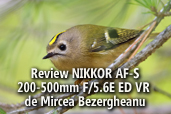 Review NIKKOR AF-S 200-500mm F/5.6E ED VR - de Mircea Bezergheanu, Ambasador Nikon