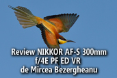 Review NIKKOR AF-S 300mm f/4E PF ED VR - de Mircea Bezergheanu, Ambasador Nikon