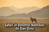 Safari in Desertul Namibiei - de Dan Dinu