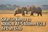 Safari in Kenya cu  NIKKOR AF-S 400mm f/2.8 -  de Dan Dinu