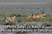 Photo Safari cu Nikon si Mircea Bezergheanu in Tanzania