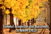 Tunelul dragostei din Bucuresti cu Nikon D810