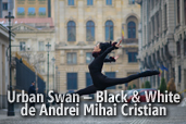 Urban Swan - Black & White - de Andrei Mihai Cristian