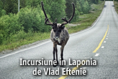 Incursiune in Laponia - de Vlad Eftenie