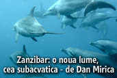 O noua lume, cea subacvatica: Zanzibar - de Dan Mirica