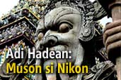 Adi Hadean: Muson si Nikon