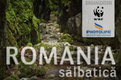 "Romania salbatica" - expeditie de fotografie in ariile protejate din Romania