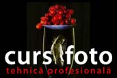 Cursuri de fotografie - Casa de Cultura a Studentilor din Bucuresti 
