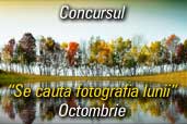Se cauta fotografia lunii octombrie: Fotografia de natura - culorile toamnei