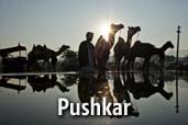 Un prim pas prin infinita Indie - Pushkar - episodul IV