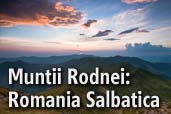 Muntii Rodnei: Romania Salbatica