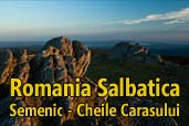 Romania Salbatica: Semenic - Cheile Carasului