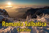 Romania Salbatica: Ceahlau