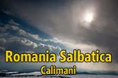 Romania Salbatica: Calimani
