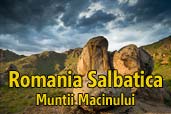 Romania Salbatica: Muntii Macinului