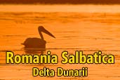 Romania salbatica: Delta Dunarii