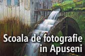 Scoala de fotografie in Apuseni