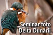Seminar foto in Delta Dunarii alaturi de Costas Dumitrescu