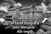 Se cauta fotografia lunii februarie - Alb-negru