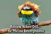 Review Nikon D4S - de Mircea Bezergheanu