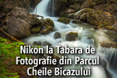 Nikon la Tabara de Fotografie din Parcul Cheile Bicazului