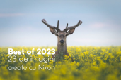 Best of 2023 - 23 de imagini create cu echipament Nikon - Selectia editorului