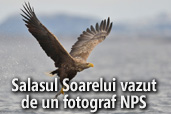 Salasul Soarelui vazut de un fotograf NPS -  de Costas Dumitrescu
