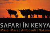 Safari in Kenya cu Dan Dinu