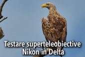 Testare superteleobiective Nikon in Delta