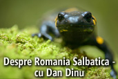 Despre Romania Salbatica - cu Dan Dinu 