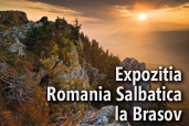 Expozitia Romania salbatica la Brasov - de Dan Dinu