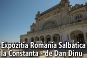 Expozitia Romania Salbatica la Constanta - de Dan Dinu