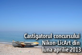 Castigatorul concursului Nikon-LicArt din luna aprilie 2013