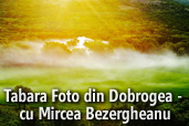 Tabara Foto din Dobrogea - cu Mircea Bezergheanu