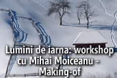 Lumini de iarna: workshop cu Mihai Moiceanu - Making-of