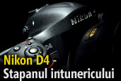 Nikon D4 - Stapanul intunericului - Test de Mircea Bezergheanu 