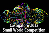 Castigatorii 2012 Small World Competition