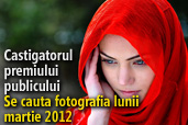 Se cauta fotografia lunii martie 2012 - Castigatorul premiului publicului
