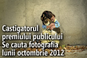 Se cauta fotografia lunii octombrie 2012 - Castigatorul premiului publicului