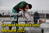 Se cauta fotografia lunii februarie 2012 - Castigatorul premiului publicului