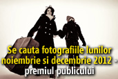 Se cauta fotografiile lunilor noiembrie si decembrie 2012 - Castigatorii premiului publicului