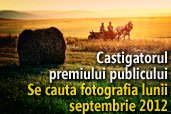 Se cauta fotografia lunii septembrie 2012 - Castigatorul premiului publicului