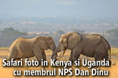 Safari foto in Kenya si Uganda -  cu membrul NPS Dan Dinu