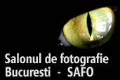SAFO - Salonul de fotografie Bucuresti, editia a III-a